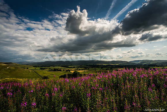 Colours of nature in the Yorkshire Dales