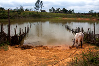 Vinales - watering hole