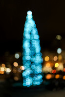 Tree in Trafalgar Squere  bokeh edit
