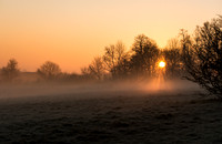 Sun light through the mist , Hampstead Heath London