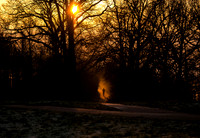 Morning glint