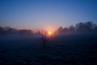 Sunrise Hampstead heath