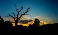 sunset on Hampstead heath